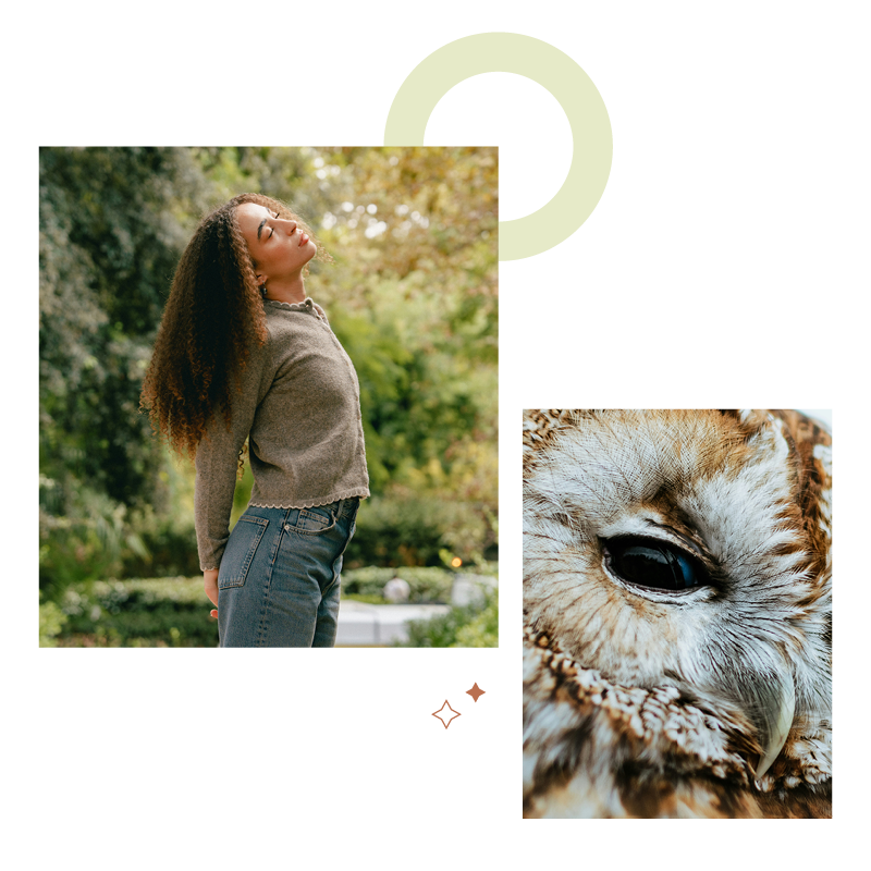 23-OWL-0149-Website72