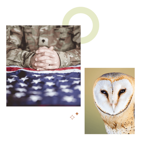 Do I Need Inpatient Treatment for Veterans