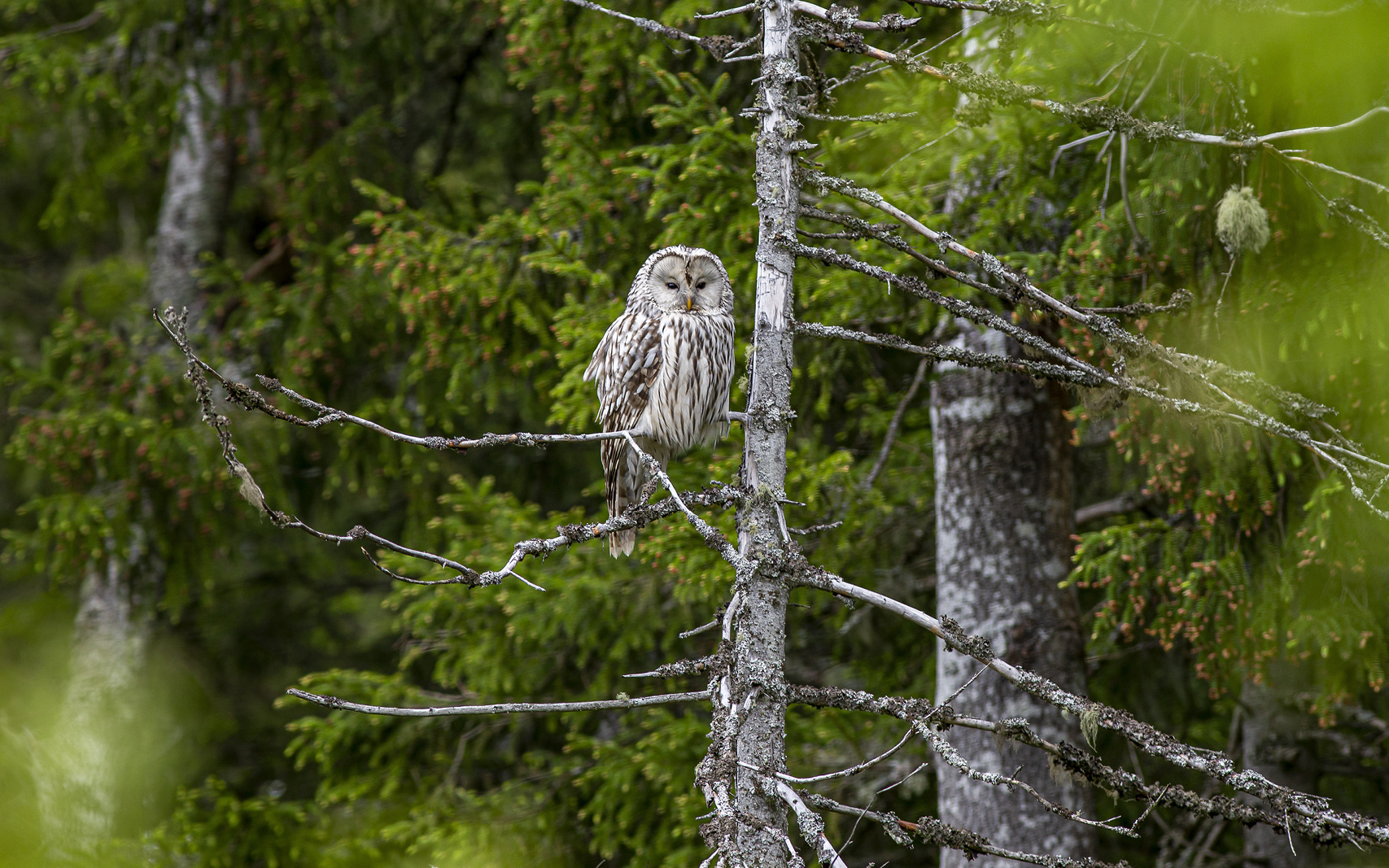 Levels of Care Addiction Treatment